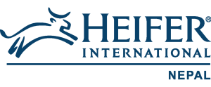 Heifer PMIS